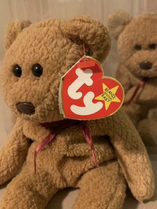 Ty Beanie Baby CURLY Retired Extremely Rare TAG ERRORS 2