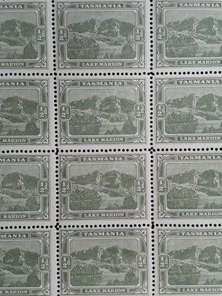 Rare 1905 Tasmania Australia Blk 40X1/2d YellowGreen Pict stamps WMK Upright MUH 2