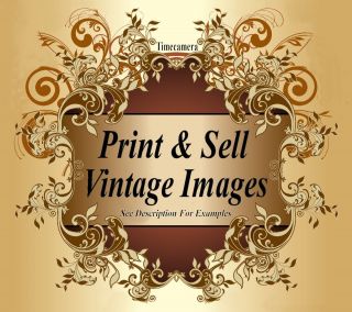 Make/Sell ' ANTIQUE ' INSECT ART PRINTS - Hi - Res Restored Images - HOME BUSINESS 2