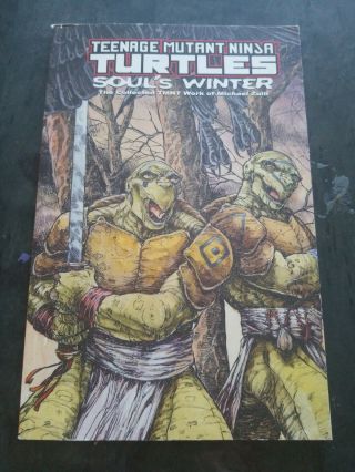 Teenage Mutant Ninja Turtles Soul 