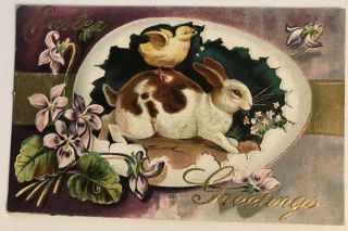 Cute Bunny Rabbit In Egg W.  Chick & Flowers Antique Embossed Easter Postcard - C949