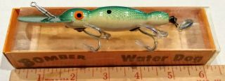 Vintage Bomber Bait Co " Waterdog / Water Dog " Lure Green/ Green Scale Box,