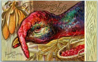 Large Turkey With Corn & Fruit Antique Thanksgiving Postcard - K999