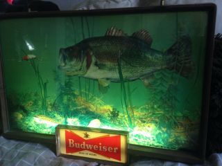 Vintage Budweiser Bar Sign Light 1957 Bass Chasing Lure Fishing Fish Rare