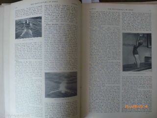 Swimming & Water Polo Old Antique Photo Illustrated Article 1912 2