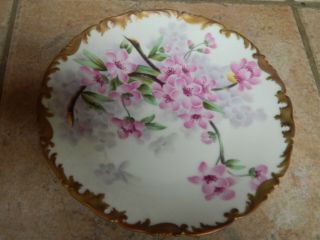 Antique T& V Limoges France Hp Porcelain Apple Blossom Plate,  Signed