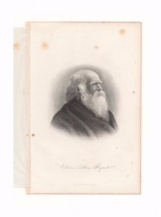 Portrait Of William Cullen Bryant - Antique Steel Engraving From 1883 Book