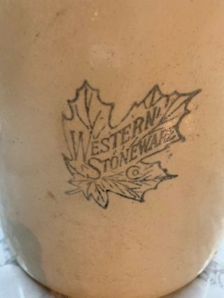 Antique 1 Gallon Crock Jug Western Stoneware Company 2