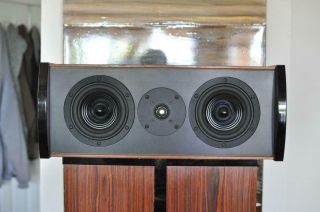 Platinum Audio Duo - Extraordinarily Sublime & Rare Audiophile Center Speaker 2