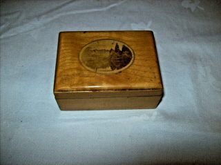 Antique Mauchline Ware Trinket Box - With Moffet Scotland - 3 " X 2 " X 1.  5 " Approx