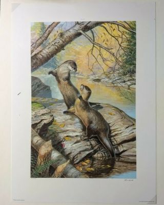 Ned Smith Art Print " River Otters " Signed/numbered Limited Edition Rare