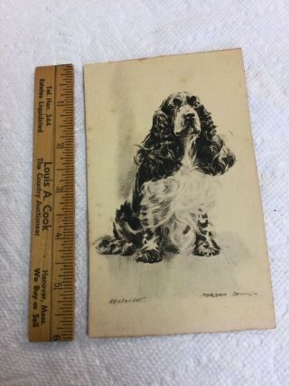 Antique Vintage Morgan Dennis Etching Print Aristocrat Spaniel Dog