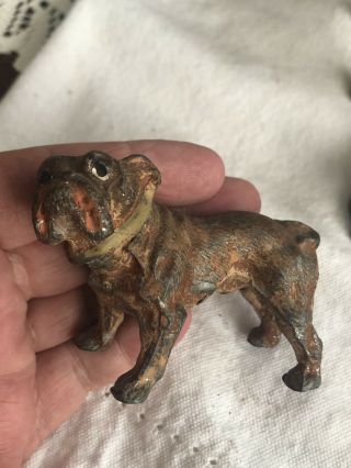 3 " - Antique Bull Dog - Cold Cast Painted Metal Marked Germany