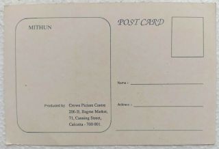 Bollywood Actor Dancer - Mithun - Rare Postcard Post card - India 2