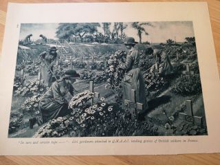 Wwi Antique Print Gardeners Of Qmaac Tending To Grave Of British Soldiers (cwgc)