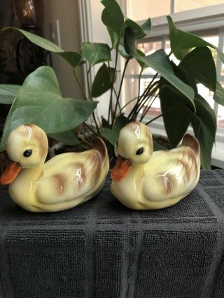 Vintage Antique Yellow Duck Figurine Pair Ceramic 4 " Long,  3 1/2 " Tall Very Old