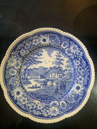 Antique Royal Cauldon Native Blue Dinner Plate 10 3/4” C1880 - 1930 Hg Stephenson