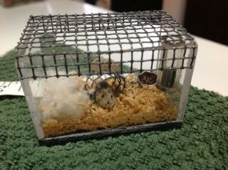 Vintage Doll House Hamster Cage With Wheel And 2 Hamsters - Cool Miniature