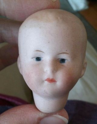 Antique Tiny German Bisque Doll Head - Gebruder Heubach - 2 Inches,  Small