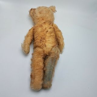 Antique Steiff (?) Teddy Bear 14 