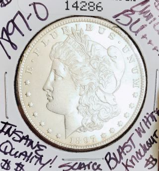 1897 O Morgan Choice Bu,  Blast White Beauty Ultra Rare Date Wow Coin Nr 14286