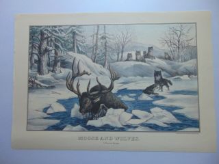 Vintage Currier And Ives Calendar Page Lithograph Reprint Moose And Wolves