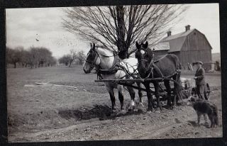 Vintage Antique Photograph Man On Farm With Horses And Cute Puppy Dog