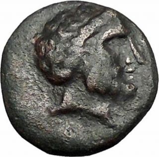 Halos In Thessaly 302bc Zeus Phrixus On Golden Ram Rare Greek Coin I49339