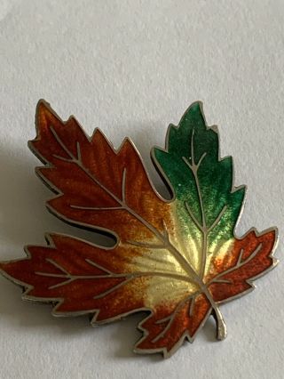Fine Antique Sterling Silver & Enamel Decorated Maple Leaf Brooch