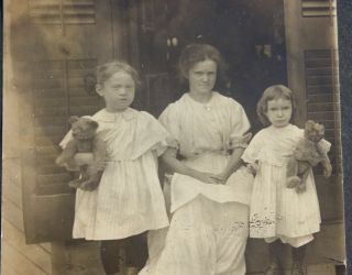Great Circa 1900 Sisters With Antique Steiff Teddy Bears Cabinet Photo