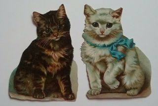 2 Pretty Antique Chromo Victorian Kitten Scraps.  Tabby And White/bow.  Ap 11x8cms