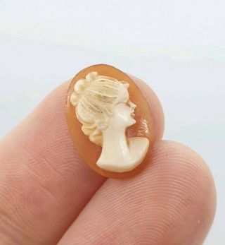 Antique Or Old Vintage Cameo Shell Piece Pendant Brooch Ring Italian