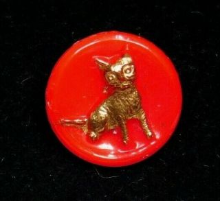 Antique Vtg Button W Tiny Red Glass Kitty Cat In Gold 20m