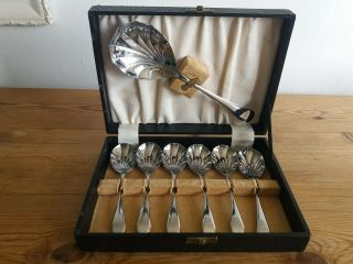 Vintage Set Of 6 Silver Plated Spoons With Serving Spoon 