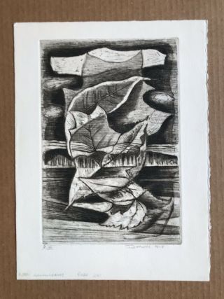 Rare Werner Drewes Abstract Nature Etching “autumn Leaves” From 1976 - 78.