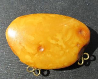 Antique Natural Butterscotch Egg Yolk Baltic Amber Brooch 6.  2g.