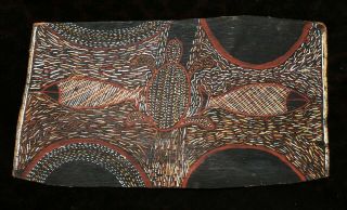 Rare Umbakumba Mission Australian Aboriginal Bark Painting By Terri Terri 1960s