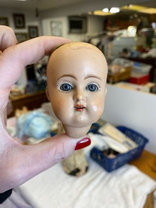Antique German Celluloid K R Doll Head Marked 406