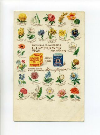 Antique Advertising Postcard,  Lipton 