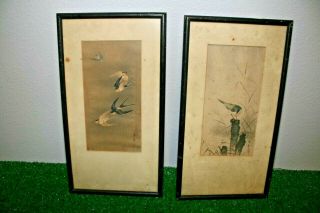 Antique Pair Bird Watercolor On Silk? Signed Asian Framed Painting