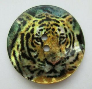 Lovely Large Antique Vtg Carved Mop Shell Transfer Picture Button Tiger (c)