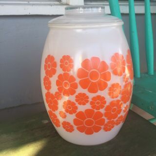 Bartlett Collins Gay Fad Cookie Jar,  White With Orange Daisies Htf,  Rare