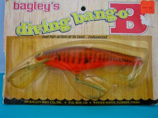Vintage Bagley Diving Bang - O - B6 - Dk Crawfish On Orange - Brass Hardware - Unfished