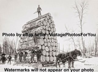 Antique/old/vintage 1880 - 99 Michigan Lumberjacks Winter Horse Drawn Sled Photo