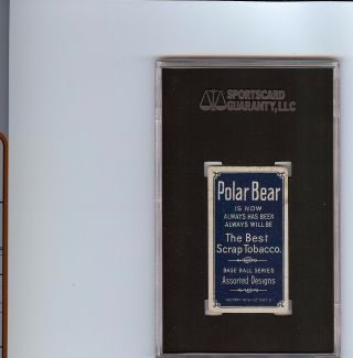 Rare 1909 - 11 T206 Harry Gasper Polar Bear Cincinnati SGC 55 4.  5 VG - EX, 2