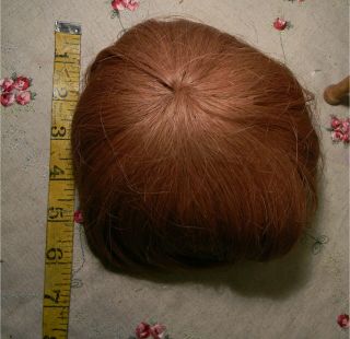 Antique Brown Mohair Wig,  Boy Or Baby 10 " C.