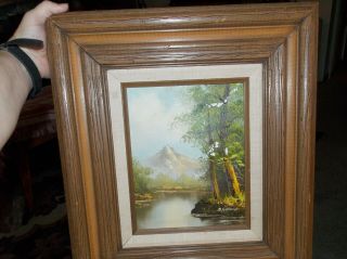 Vintage Signed B Gordon Mountain Forest Landscape Oil Painting Canvas Framed Art
