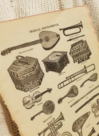 Musical Instruments - Antique Book Print 2