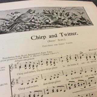 Antique Book Print - Chirp and Twitter - Bird ' s Song - 1907 2