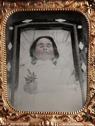 1/6 Plate Tintype - Post Mortem - Lady In Rare Casket In Thermoplastic Case